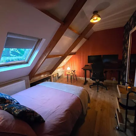 Ossestal Assendelft